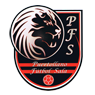 CD Puertollano