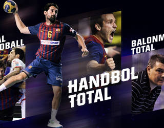 HANDBALL TICKETS - 2011-12