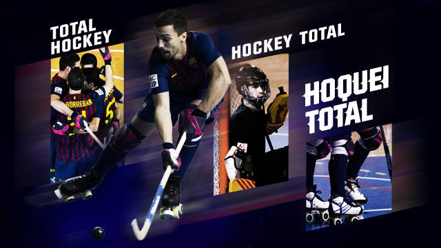 ENTRADES HOQUEI 2011-12