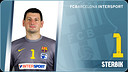 Arpad Sterbik